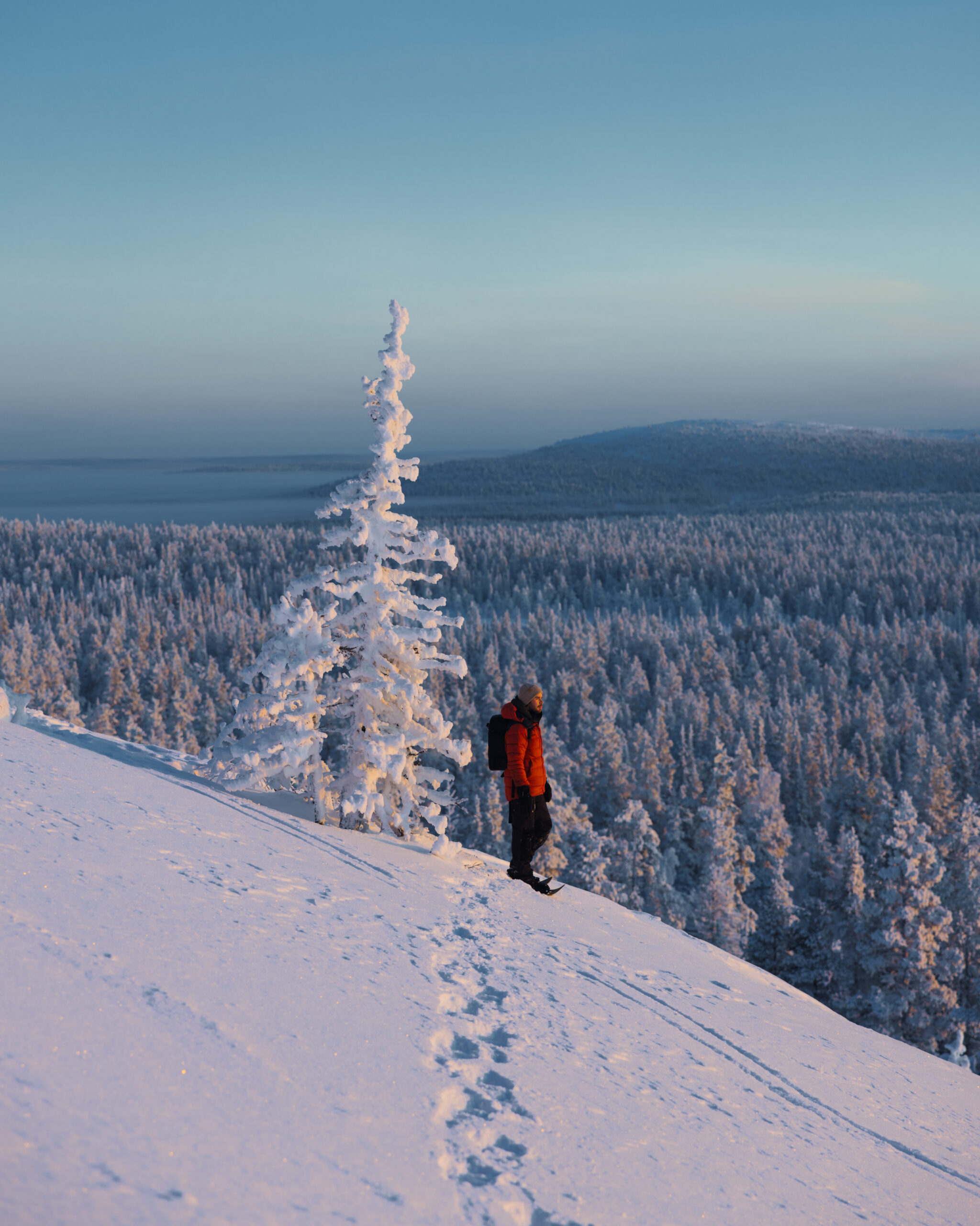 Levi Lapland